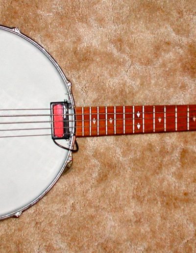 Bass Banjo