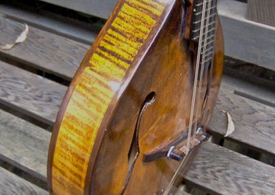 Birds Eye Maple A-style Mandolin