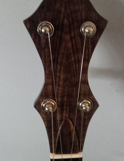 Arctic Fox Book Matched Walnut Headstock