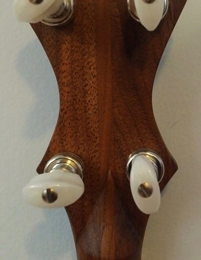 Back of Headstock Detail of Walnut Neck