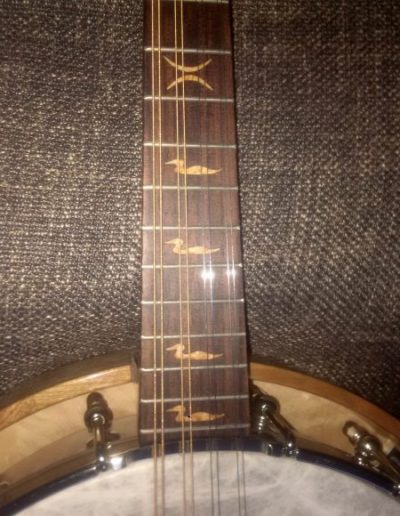 Banjolin Rosewood Fingerboard with Birdseye Loon Inlays