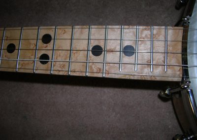 Birds Eye Maple Fret Board