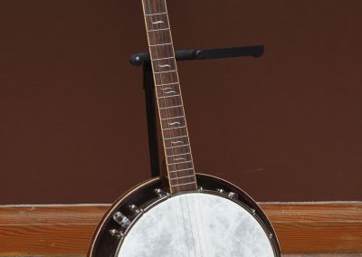 Mahogany Whyte Lady Style With Mahogany Resonator