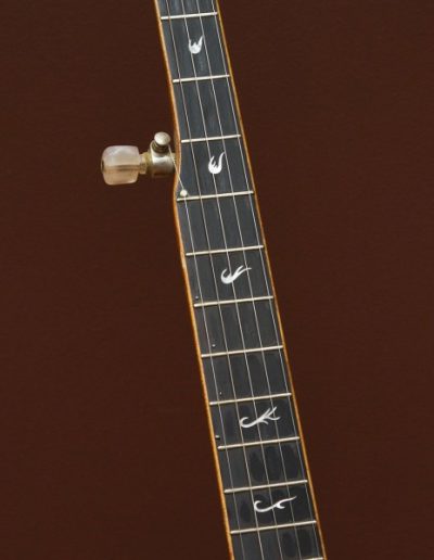 Mother of Pearl Inlays on Ebony Fingerboard