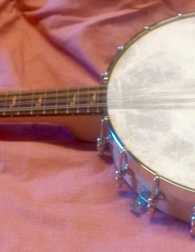 Pattison Banjolin without Resonator attached