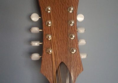 Voyageur Mandolin Lacewood Headstock Laminate